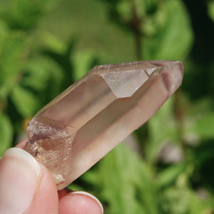 Pink Lithium Lemurian Quartz Crystal 