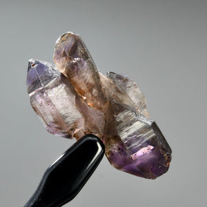 DT ET Elestial Shangaan Amethyst Quartz Crystal Scepter