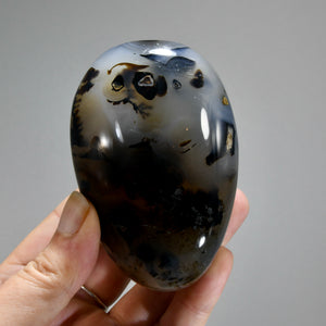 Dendritic Agate Crystal Palm Stone, Picture Agate, Landscape Agate
