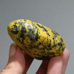 Bumblebee Jasper Crystal Palm Stone