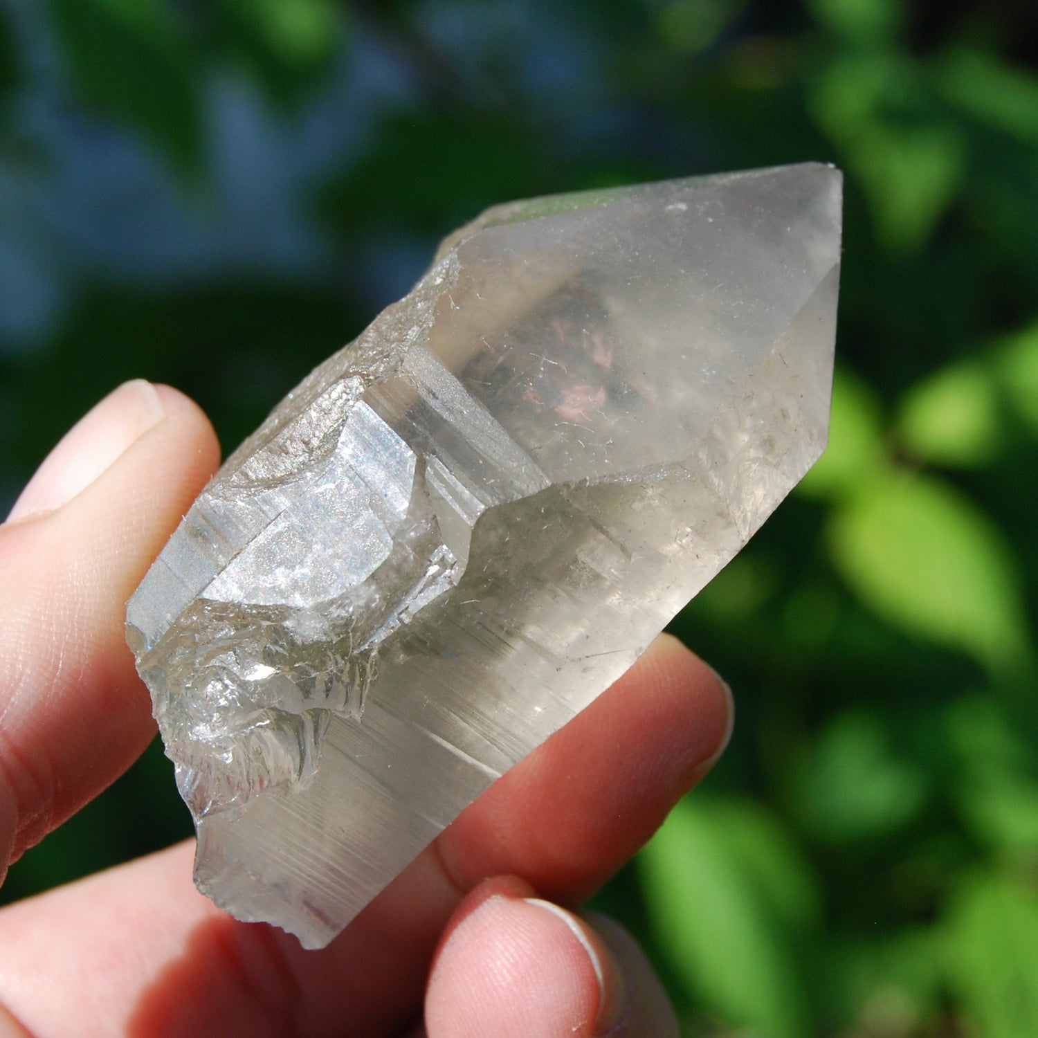 Smoky Lemurian Seed Quartz Crystal Starbrary