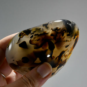 Dendritic Agate Crystal Palm Stone, Picture Agate, Landscape Agate