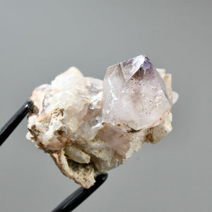 Shangaan Amethyst Quartz Crystal Scepter Cluster