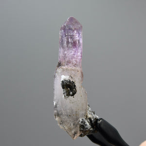 1.8in DT Elestial Shangaan Amethyst Quartz Crystal Reverse Scepter, Gemmy Smoky Chiredzi Amethyst, Zimbabwe f9