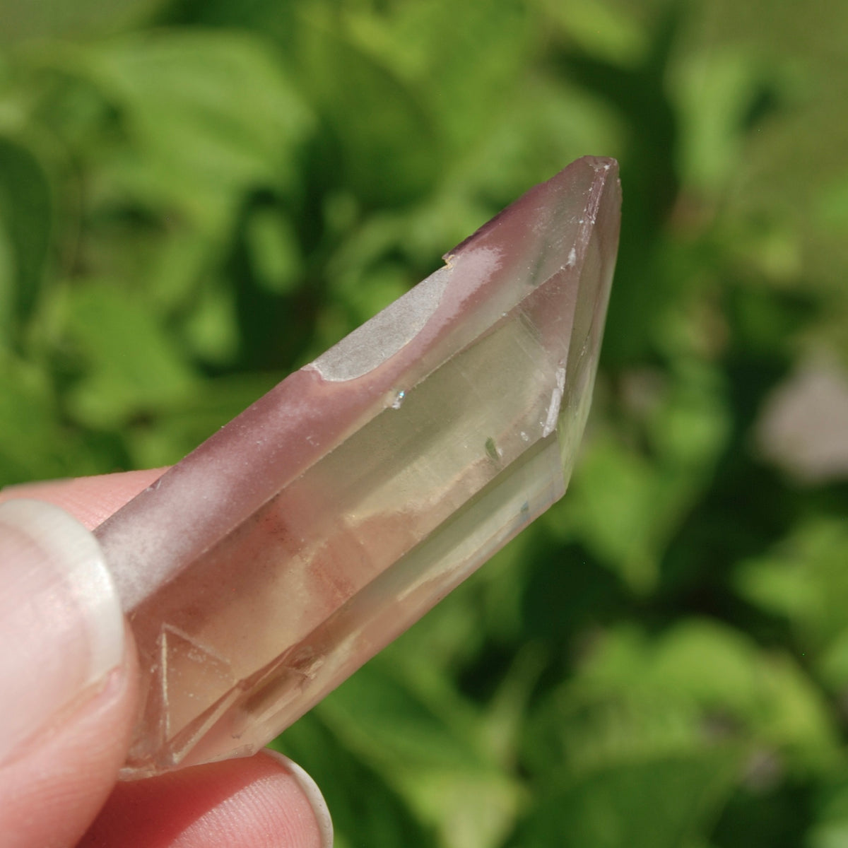 Pink Lithium Lemurian Quartz Crystal 