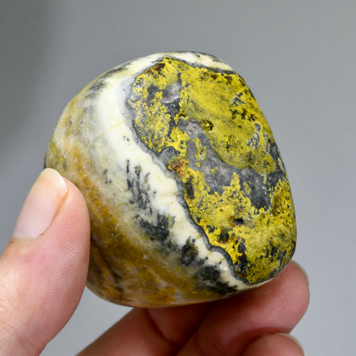 Bumblebee Jasper Crystal Palm Stone, Indonesia
