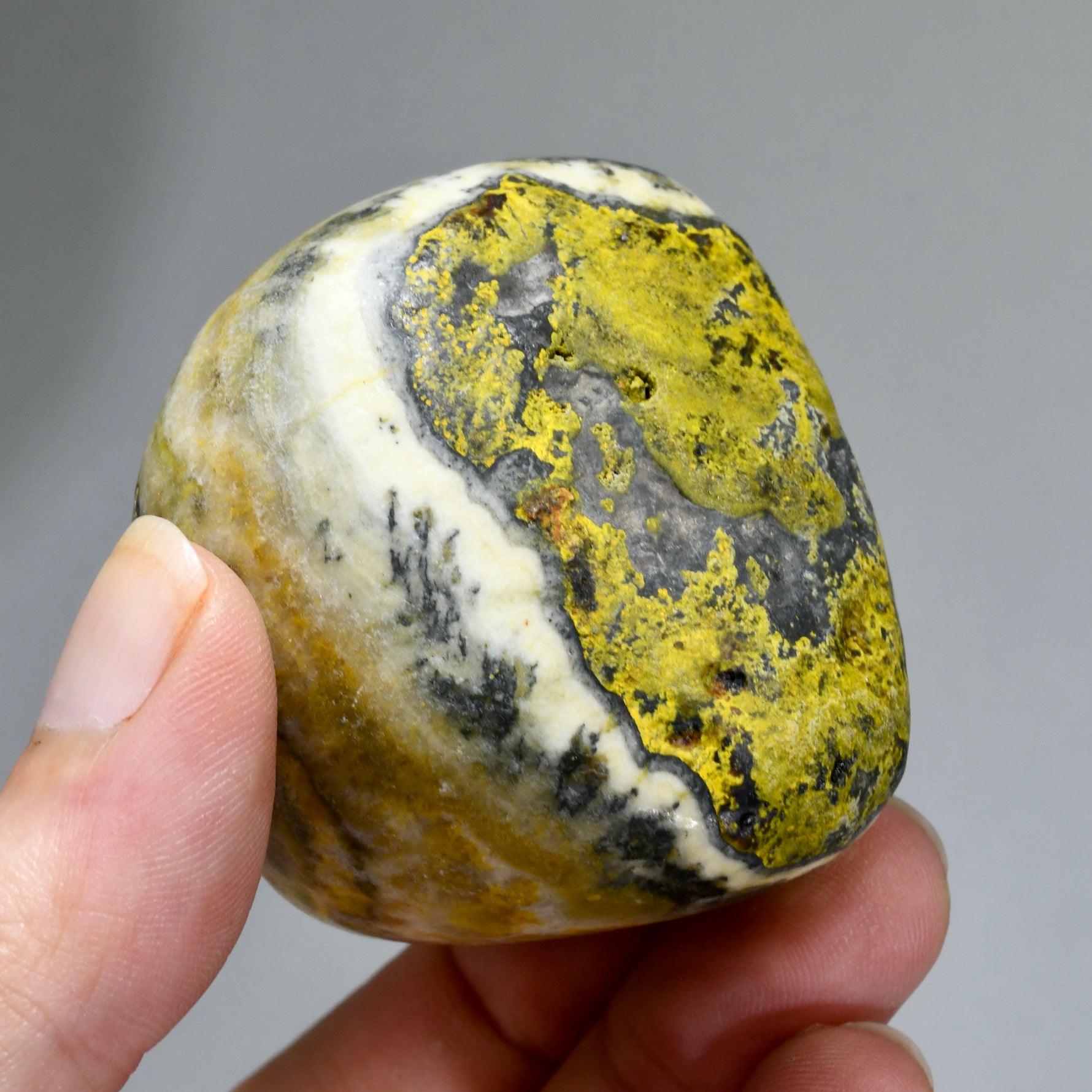 Bumblebee Jasper Crystal Palm Stone, Indonesia