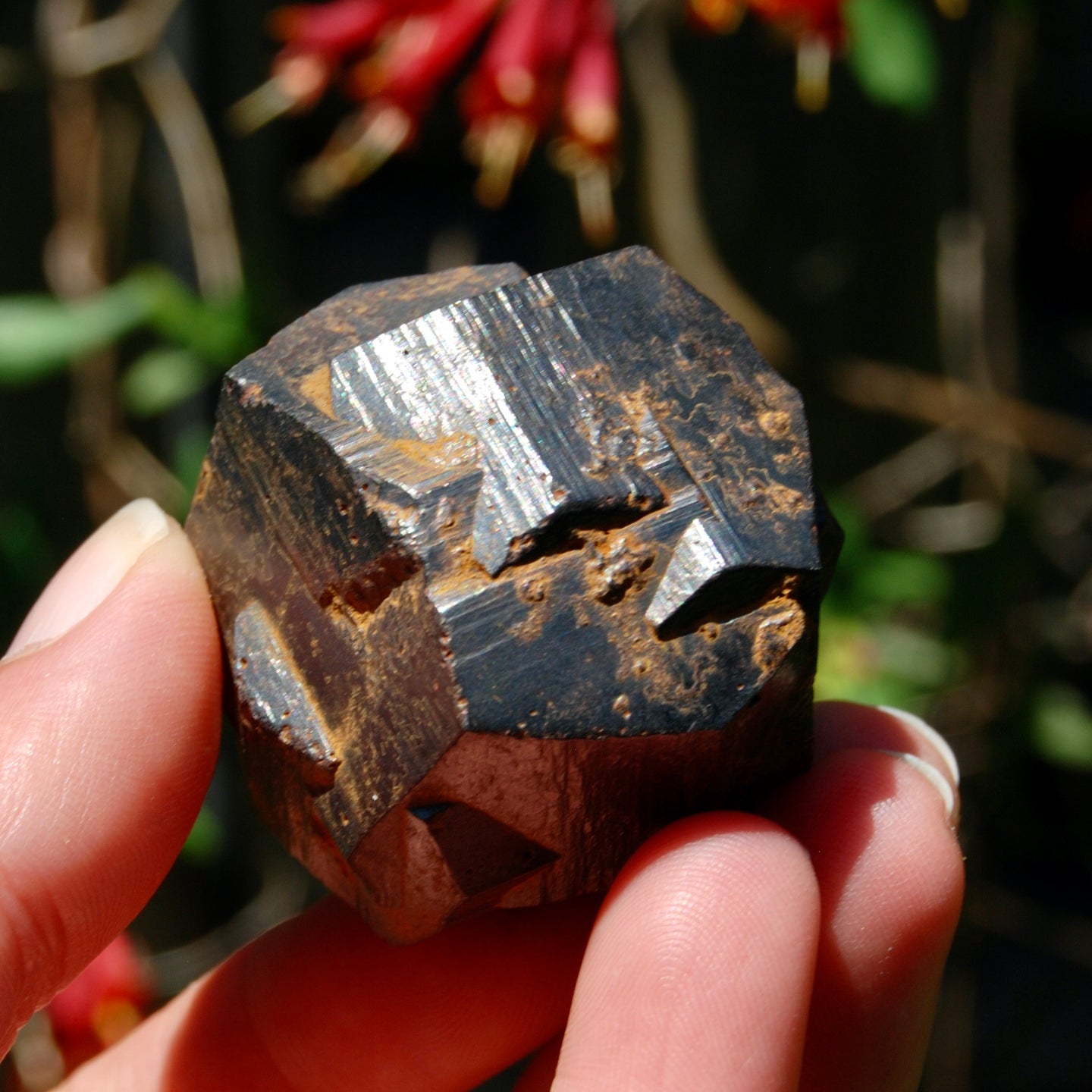 Pyrite Iron Cross Twin Goethite Pseudomorph Crystal