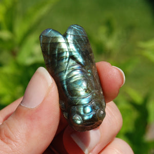 Labradorite Carved Crystal Cicada
