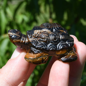 Tiger's Eye Carved Crystal Turtle