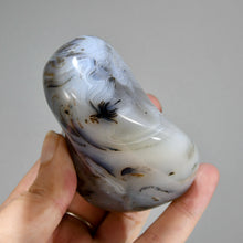 Load image into Gallery viewer, Dendritic Agate Crystal Palm Stone, Picture Agate, Landscape Agate

