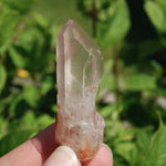 DT Hematoid Pink Lithium Lemurian Quartz Crystal Starbrary