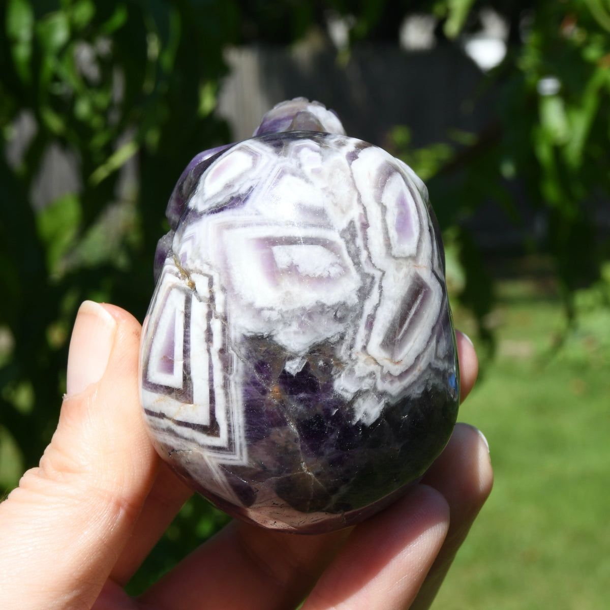 Chevron Dream Amethyst Crystal Skull