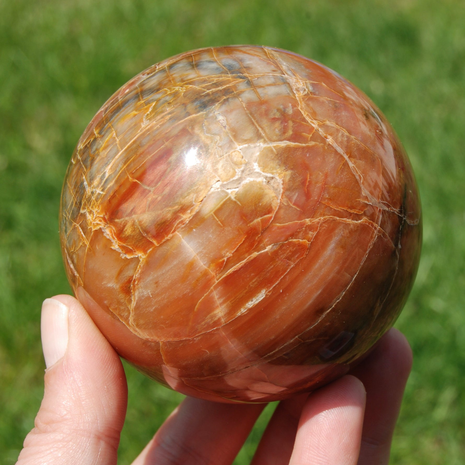 Petrified Wood Crystal Sphere