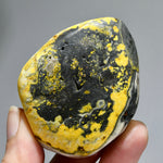 Bumblebee Jasper Crystal Palm Stone