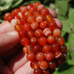 Carnelian Agate Crystal Power Bracelet
