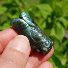 Load image into Gallery viewer, Labradorite Carved Crystal Cicada
