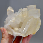 Isis Face Golden Healer Lemurian Crystal Cluster 4.5in 1.4lb for sale