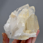 Isis Face Golden Healer Lemurian Crystal Cluster 4.5in 1.4lb for sale