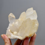 Isis Face Golden Healer Lemurian Crystal Cluster 4.5in 1.4lb for sale