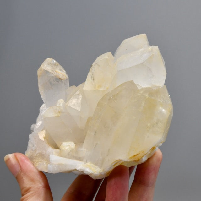 Isis Face Golden Healer Lemurian Crystal Cluster 4.5in 1.4lb for sale
