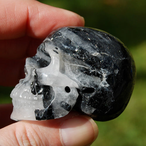 Black Tourmaline Quartz Crystal Skull, Realistic Gemstone Skull Carving