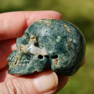 Ocean Jasper Carved Crystal Skull Realistic Gemstone Carving