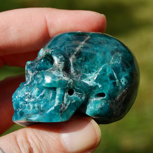 Gemmy Apatite Crystal Skull, Realistic Carved Gemstone Skull