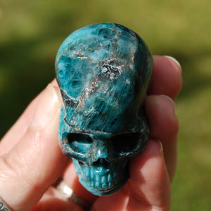 Gemmy Apatite Crystal Skull, Realistic Carved Gemstone Skull