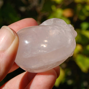 STAR Rose Quartz Crystal Skull