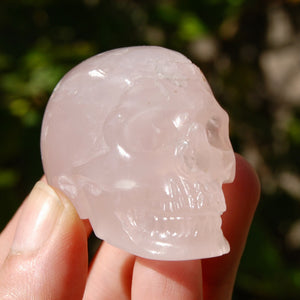 Girasol Rose Quartz Crystal Skull