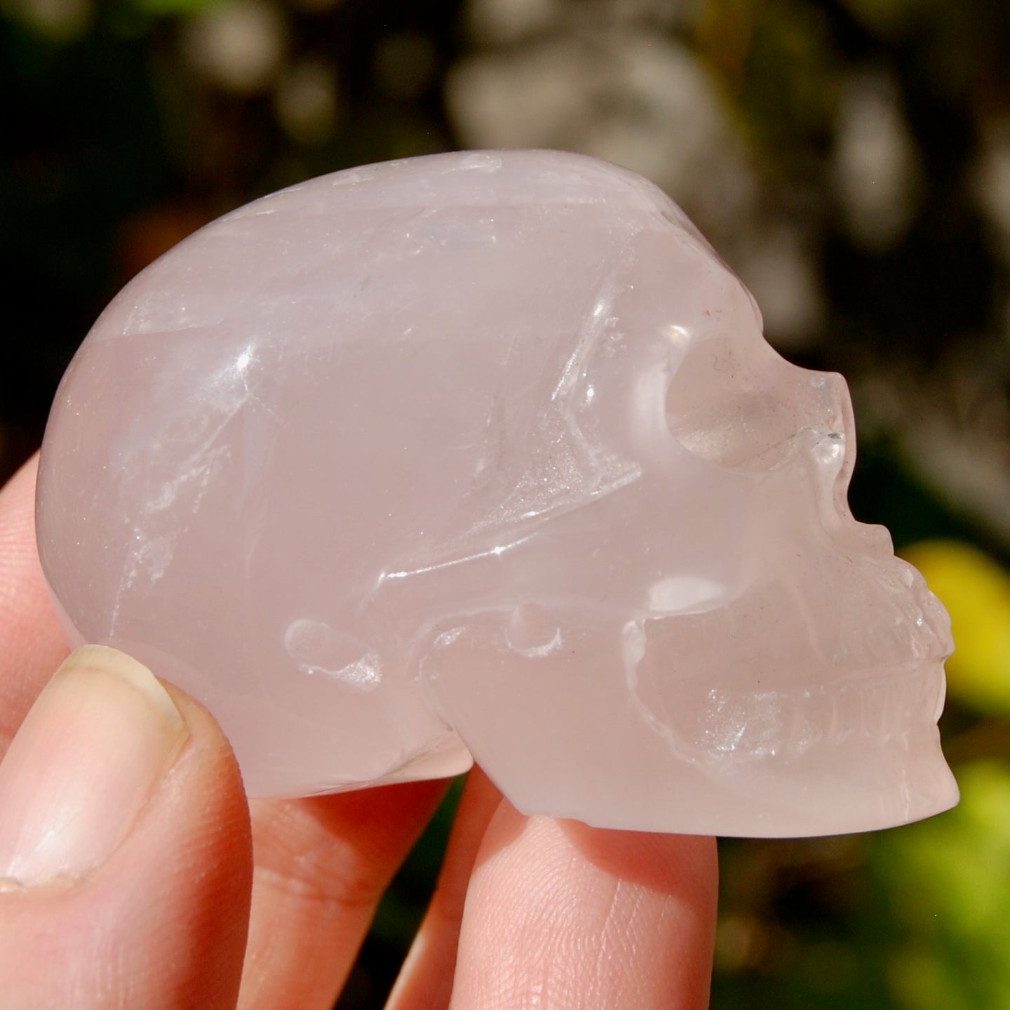 Girasol Rose Quartz Crystal Skull