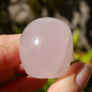 Girasol Rose Quartz Crystal Skull