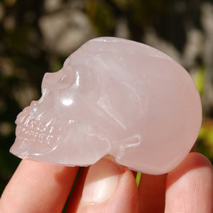 Girasol Rose Quartz Crystal Skull