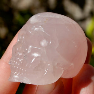 Girasol Rose Quartz Crystal Skull