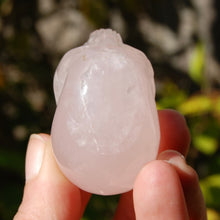 Load image into Gallery viewer, Girasol Rose Quartz Crystal Skull
