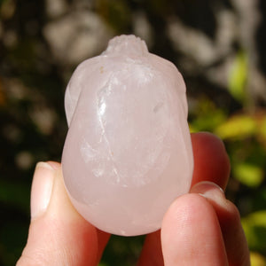 Girasol Rose Quartz Crystal Skull