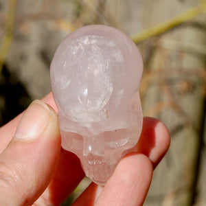 Girasol Rose Quartz Crystal Skull