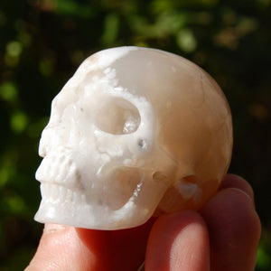 Sakura Flower Agate Crystal Skull