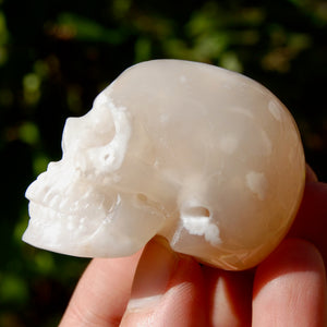 Sakura Flower Agate Crystal Skull