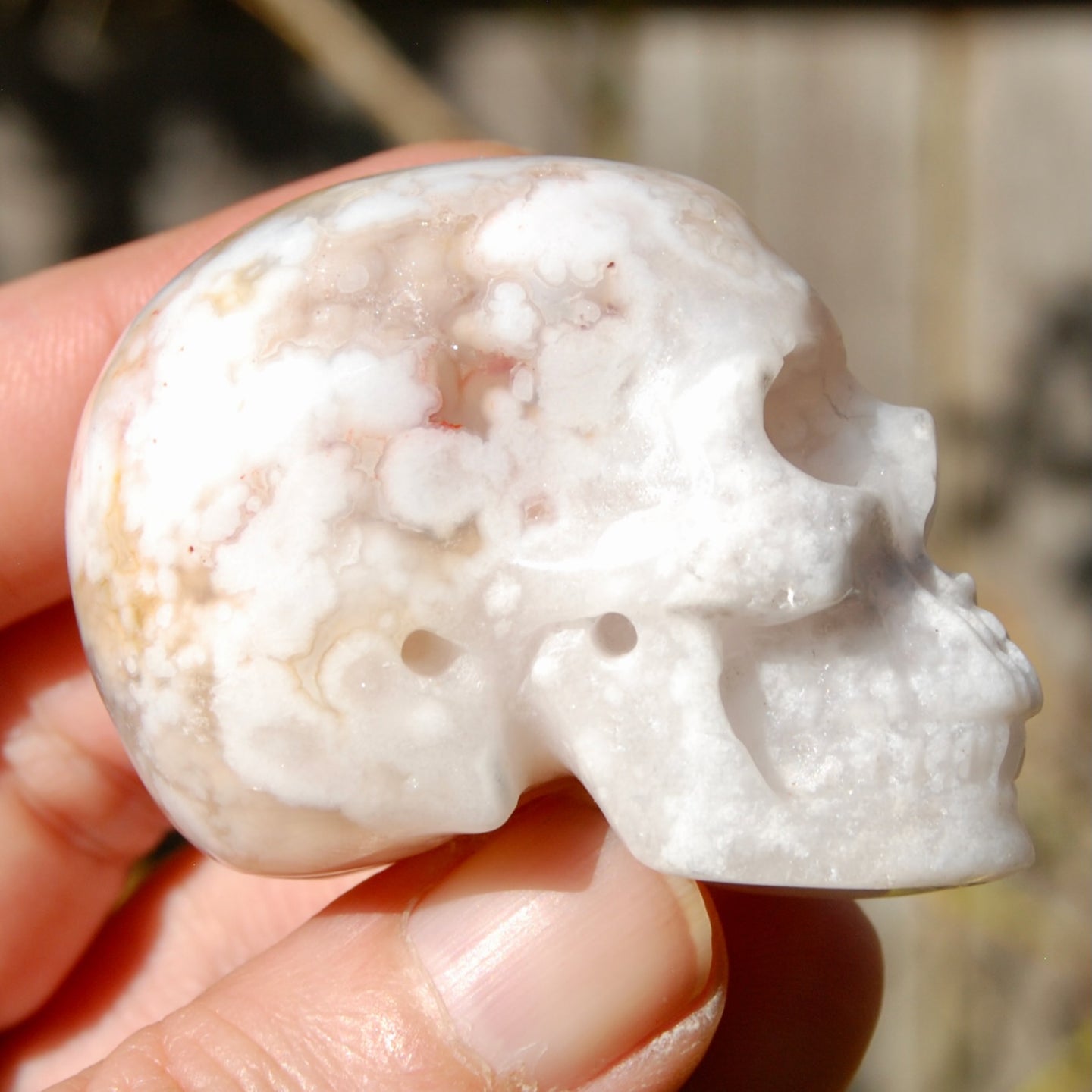 Sakura Flower Agate Crystal Skull