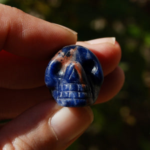 Mini Sodalite Crystal Skull