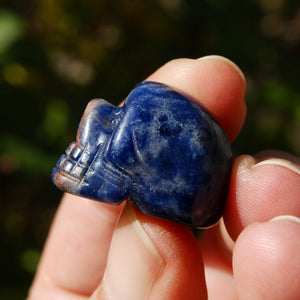 Mini Sodalite Crystal Skull