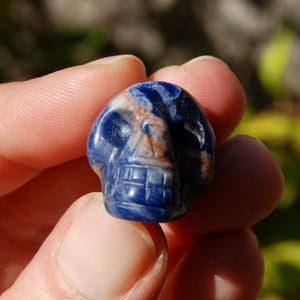 Mini Sodalite Crystal Skull