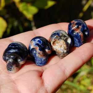 Mini Sodalite Crystal Skull