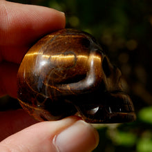 Load image into Gallery viewer, Tiger Eye Carved Crystal Skull 
