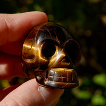 Load image into Gallery viewer, Tiger Eye Carved Crystal Skull 
