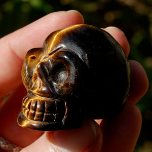 Tiger Eye Carved Crystal Skull 