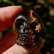 Load image into Gallery viewer, Tiger Eye Carved Crystal Skull 
