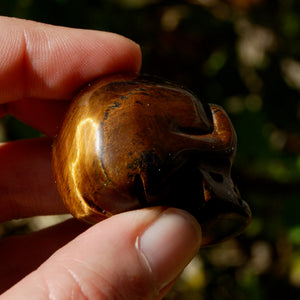 Tiger Eye Carved Crystal Skull 